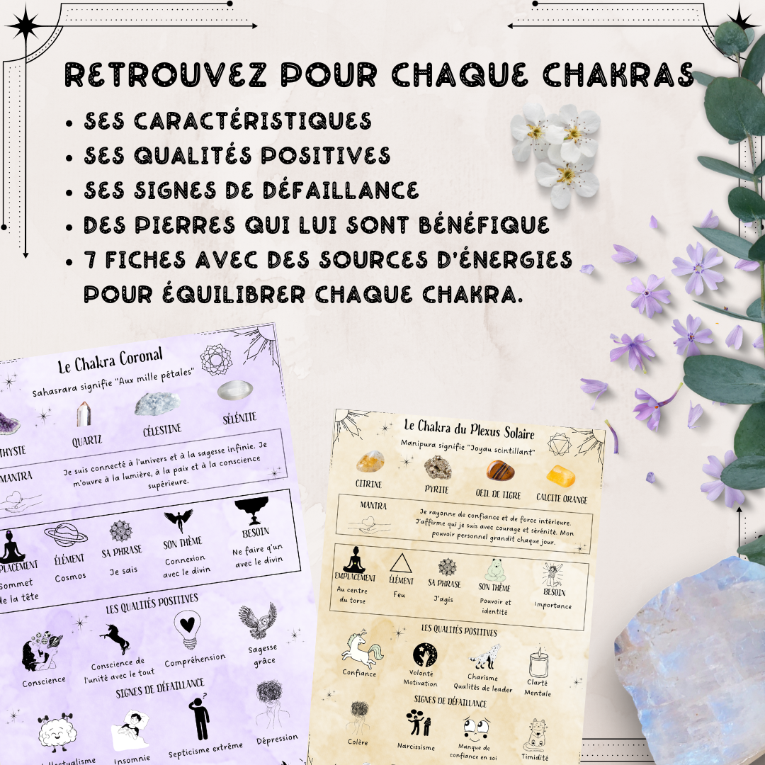Les Moonettes - Wholesale Stationery/Notecard Set - 12 chakra and lithotherapy cards Les Moonettes + pouch2
