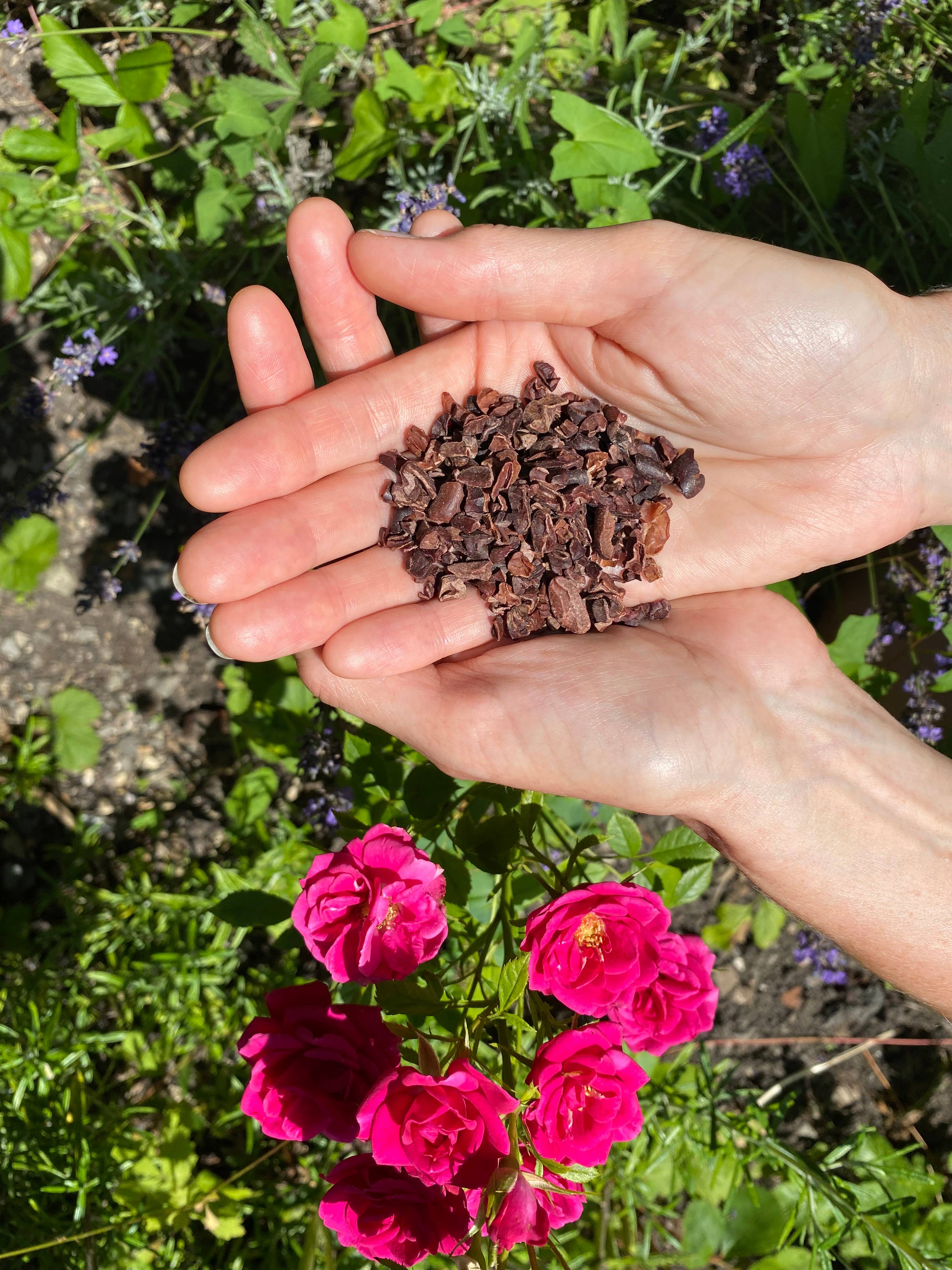 Ritual Cacao – wholesale Protein/superfood powder – 10kg Ecuadorian Ceremonial Grade Cacao4