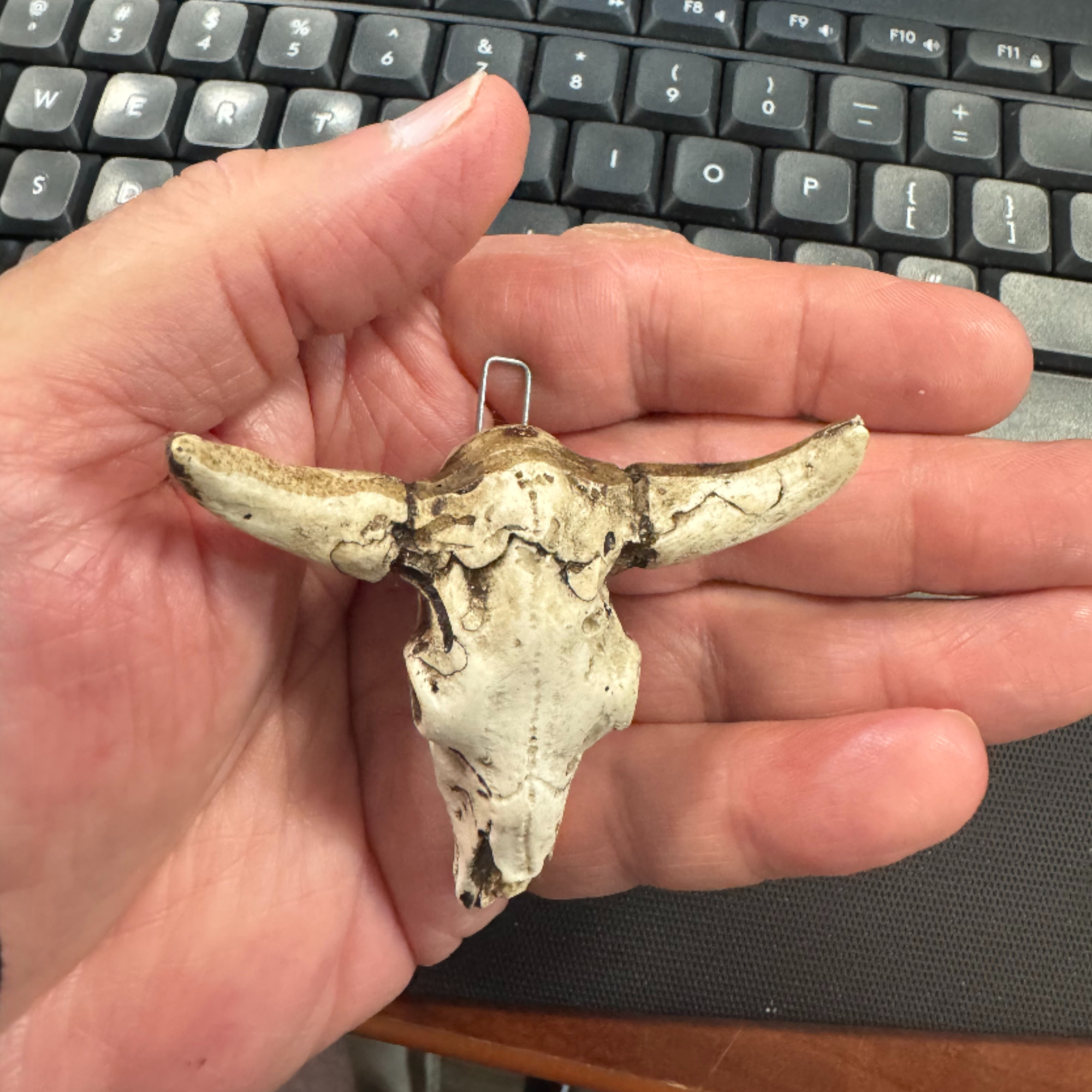 Wilco Home - Vente Objets de décoration - Ornement/Charme Crâne de Taureau en Résine1