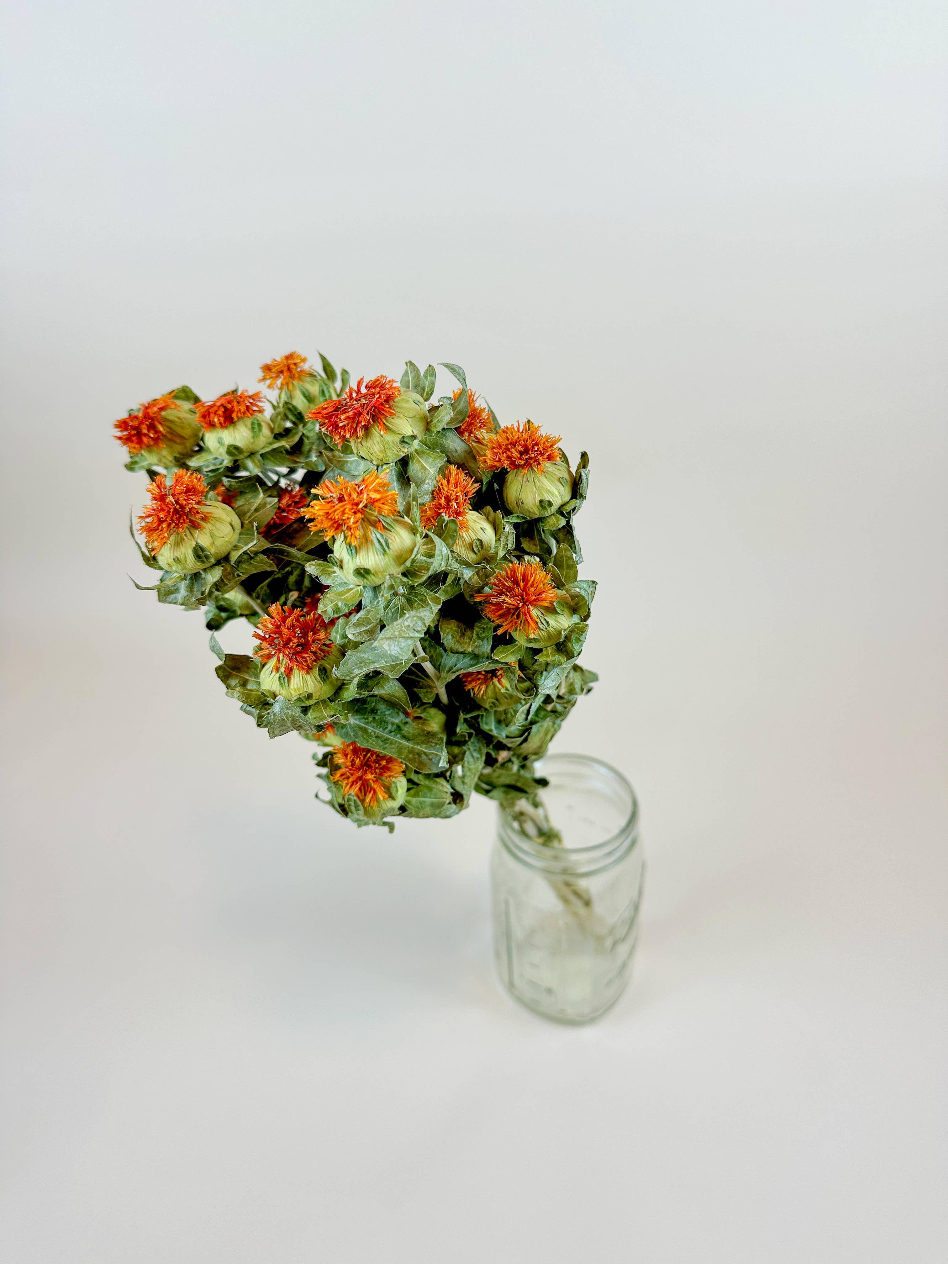 Lovejoy Farms Premium Dried Flowers – wholesale Dried/pressed flowers – Safflower - Orange  Naturally Dried Flowers3
