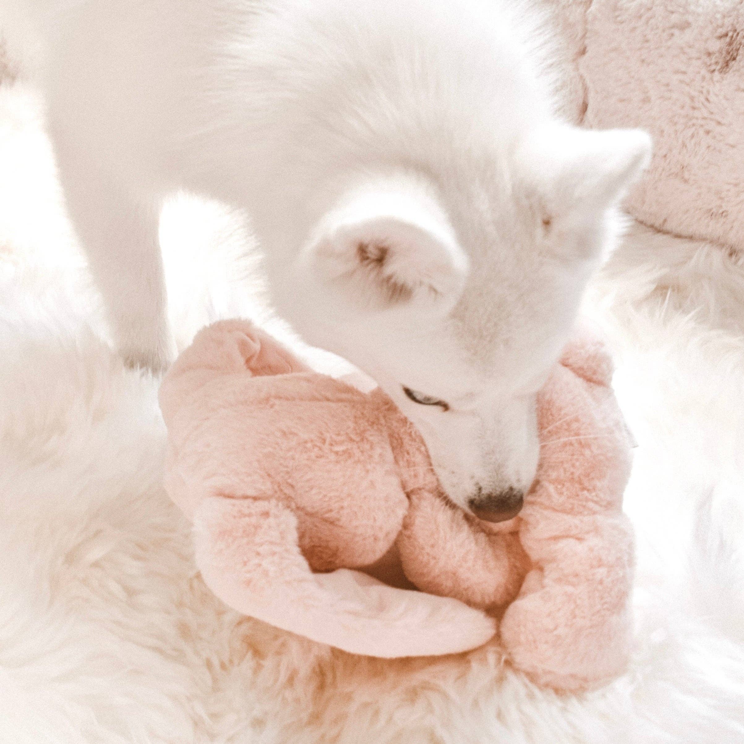 Fur Elise Pets - Wholesale Pet Plush Toy - Dog - Ruby Plushie3