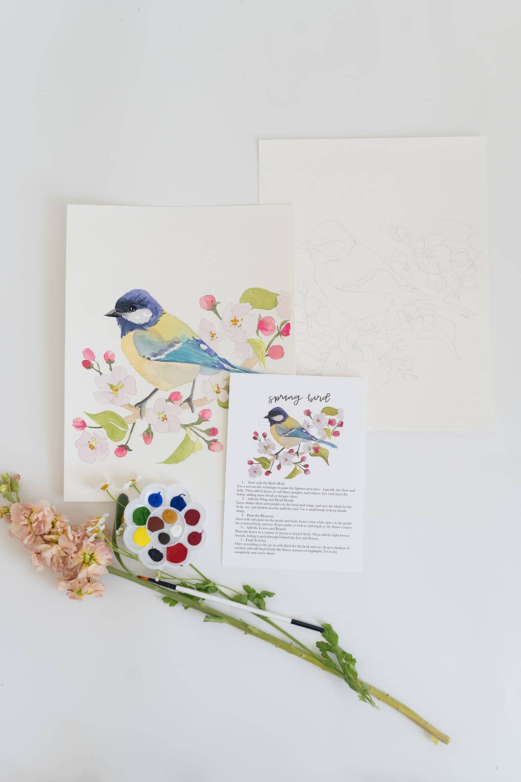 Bailey Rae Studio - Wholesale DIY Craft Kit - spring bird - watercolor kit2