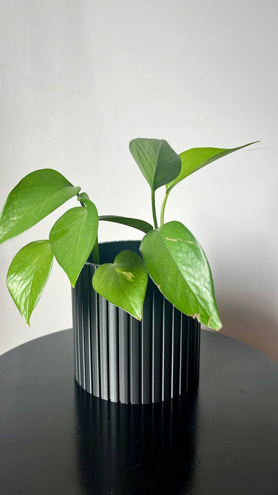 Prairie City Printing Co. - Vendita all'ingrosso Vasi per piante - Vaso per piante nordico a colori | Mid-Century | Scandinavian Insp0