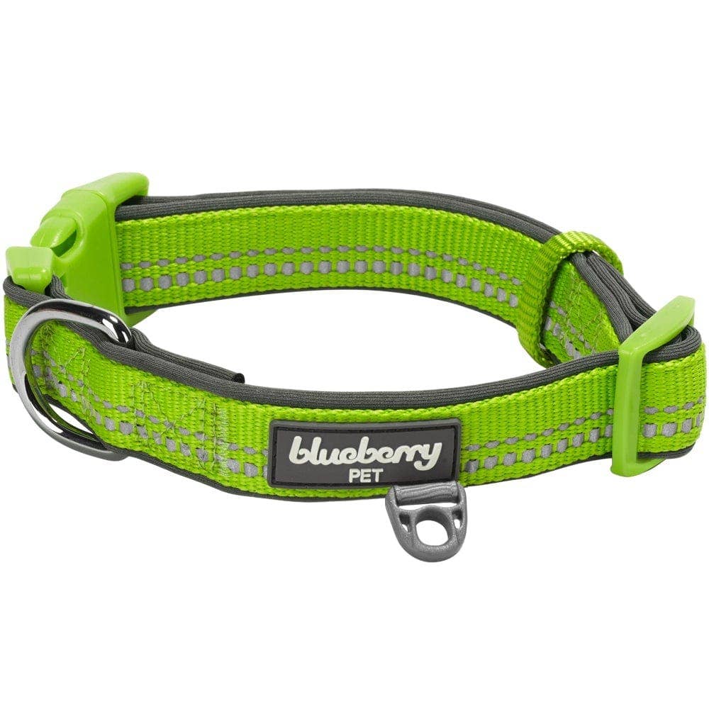 Blueberry Pet - Vente Collier – chien - Collier de sécurité rembourré en néoprène souple réfléchissant 3M0