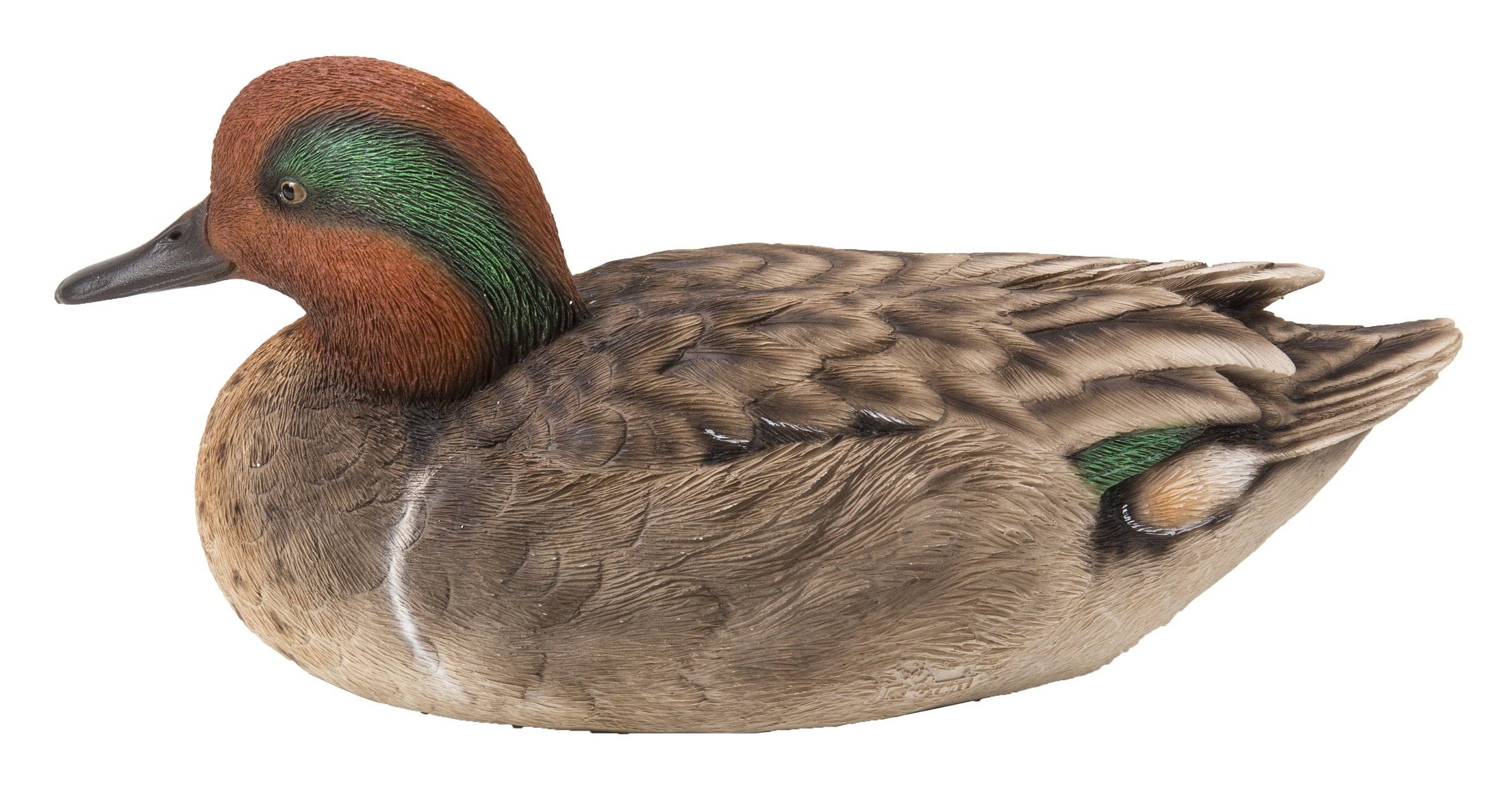 Hi-Line Gift Ltd. - Wholesale Decorative Figurine - Large Green Wing Mallard Decorative Figurine4