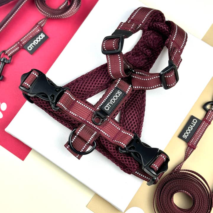 CityDogs - Wholesale Pet Harness - Dog - Earthpaws - Adjustable padded y harness