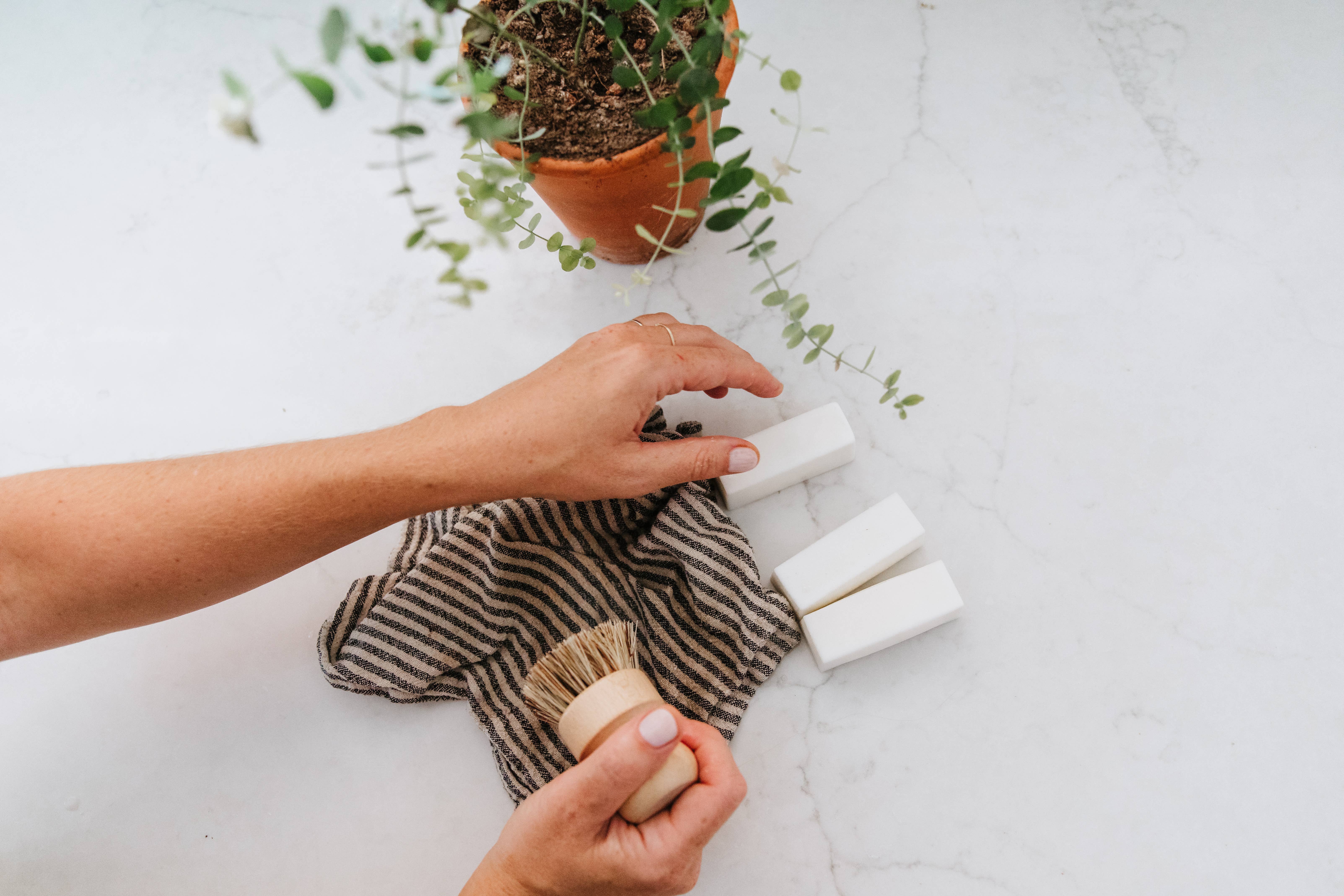 Honeywild Apothecary - Wholesale Bar Soap - Stain Stick3