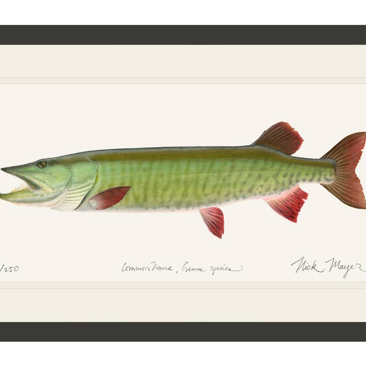 Impressão de Edição Limitada Trophy Muskie por atacado de Nick Mayer Art