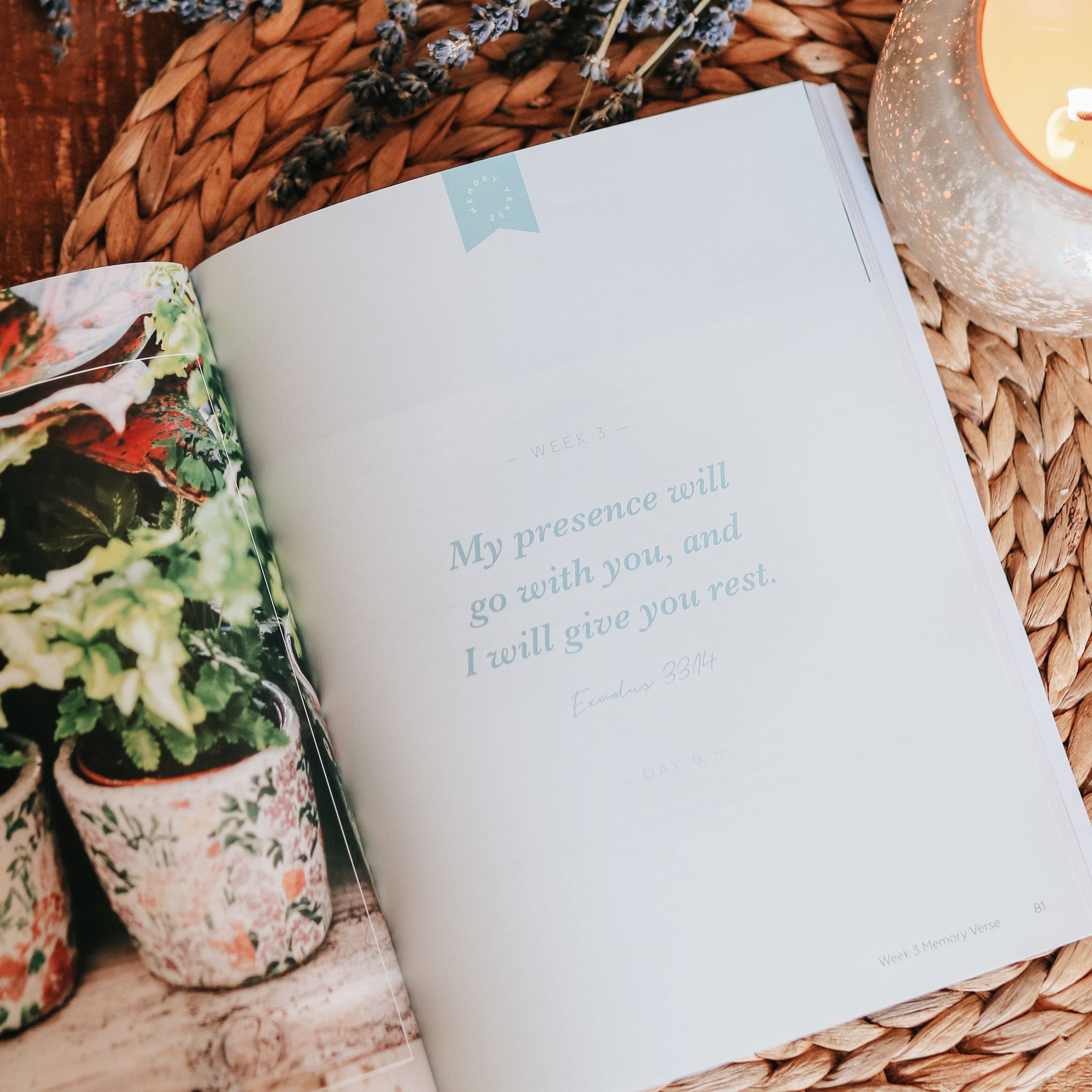 The Daily Grace Co - Wholesale Religion - Rest | From Eden to Eternity4