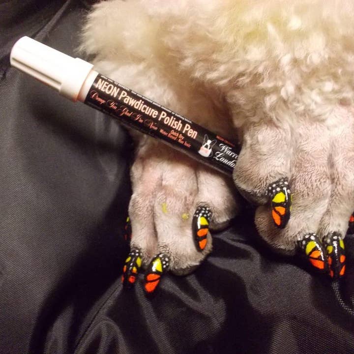 Warren London Dog Products – Engroshandel Forhandlerdisplay – Kartondisplay med 18 neglelakpenne i basisfarver3