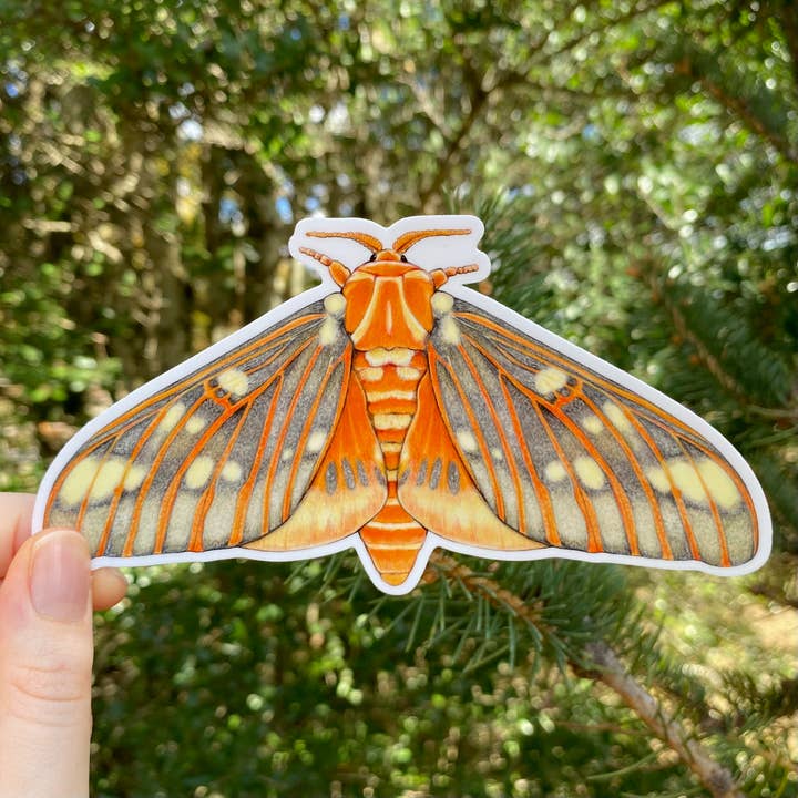 Adhesivo de vinilo resistente a la intemperie Regal Moth para venta al por mayor de Allison Stoiser Art