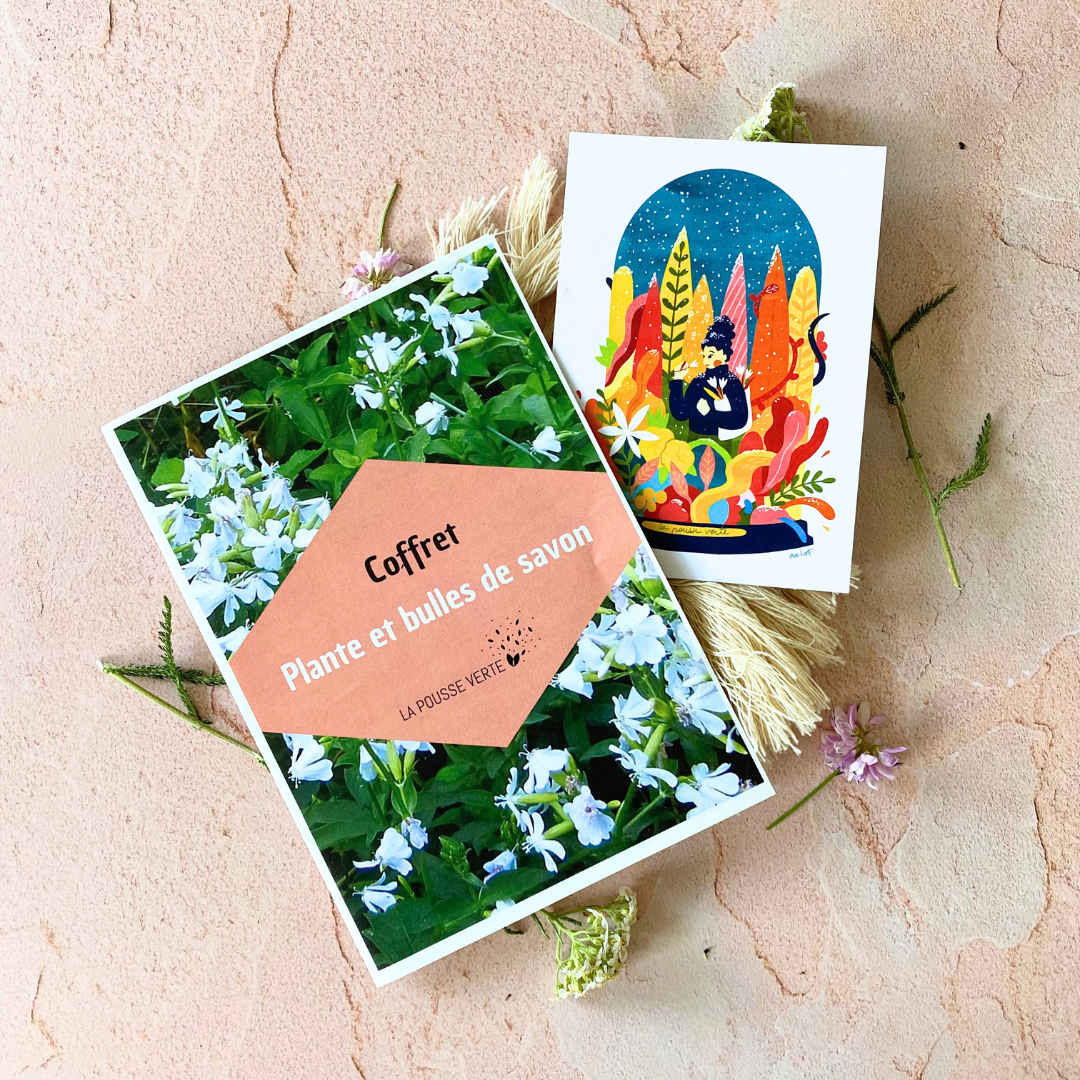 La Pousse Verte - Wholesale Gift Box - "Plant & Soap Bubbles" gift set2