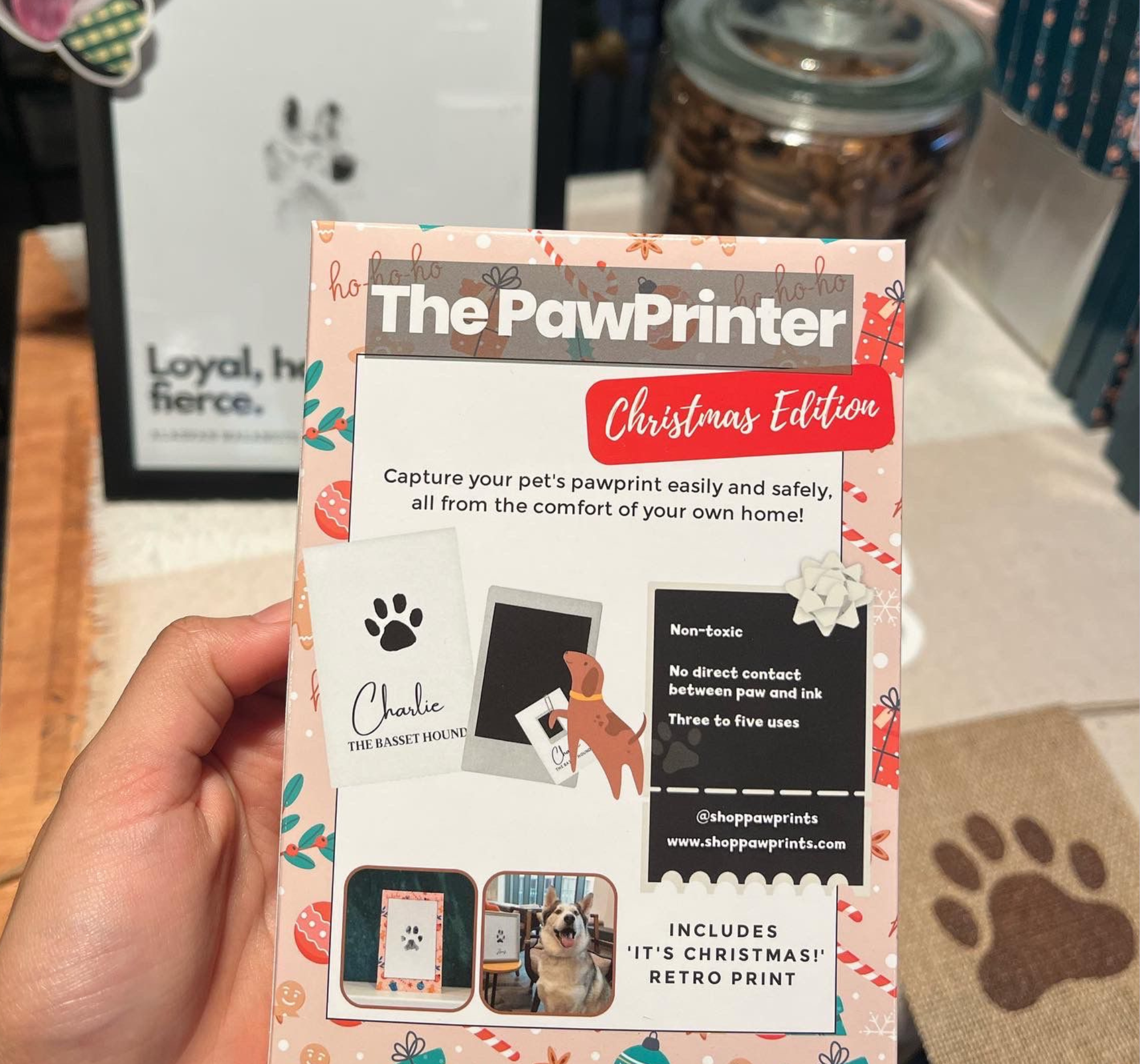 Paw Prints – wholesale DIY craft kit – Pet Paw Print Kits: Cats, Dogs, Puppy, Guinea Pig, Rabbit4
