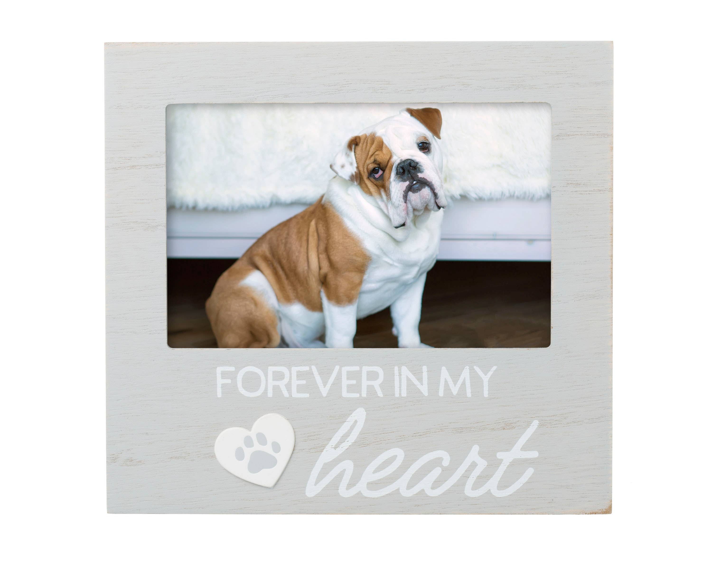 Pearhead - Wholesale Picture Frame - Pet Memorial Frame, Forever in my Heart1