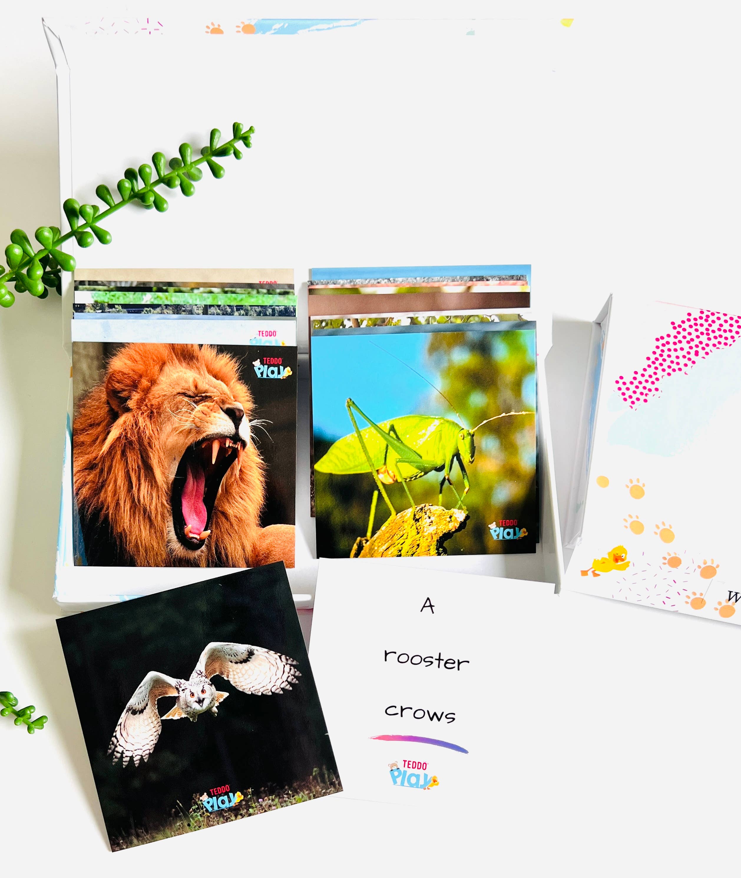 Teddo Play - Venta al por mayor Tarjetas de aprendizaje - Niños y bebés - MiniS - Animal Sounds Bird Calls Juegos educativos Viajes