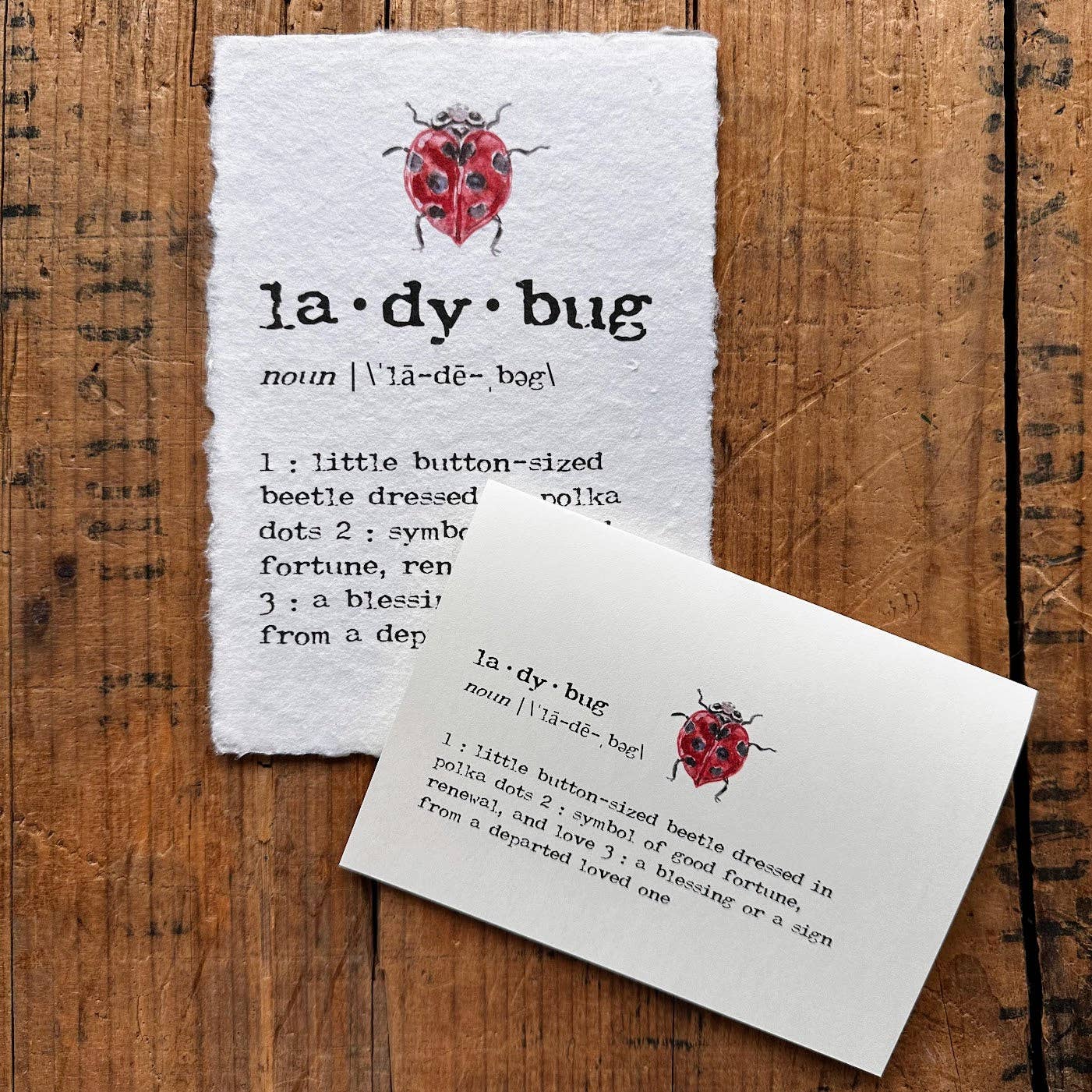 Alison Rose Vintage - Wholesale Art Print - ladybug definition print in typewriter font on handmade paper3