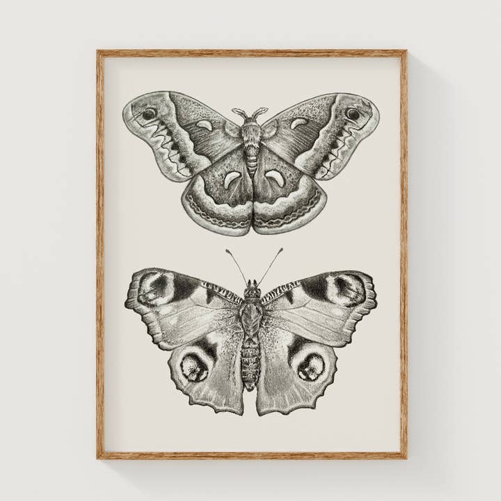 Impression d'art de papillon et de papillon de nuit pour la vente par Steph Marie Art