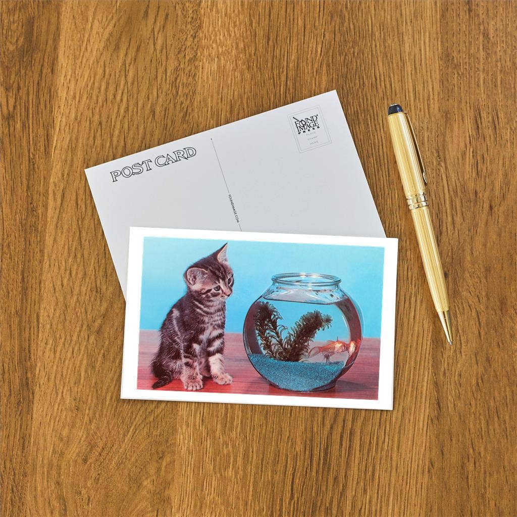 Found Image Press - Vendita all'ingrosso Cartoline - Cartolina KC-80 Gattino che Osserva Pesce Rosso nella Boccia1
