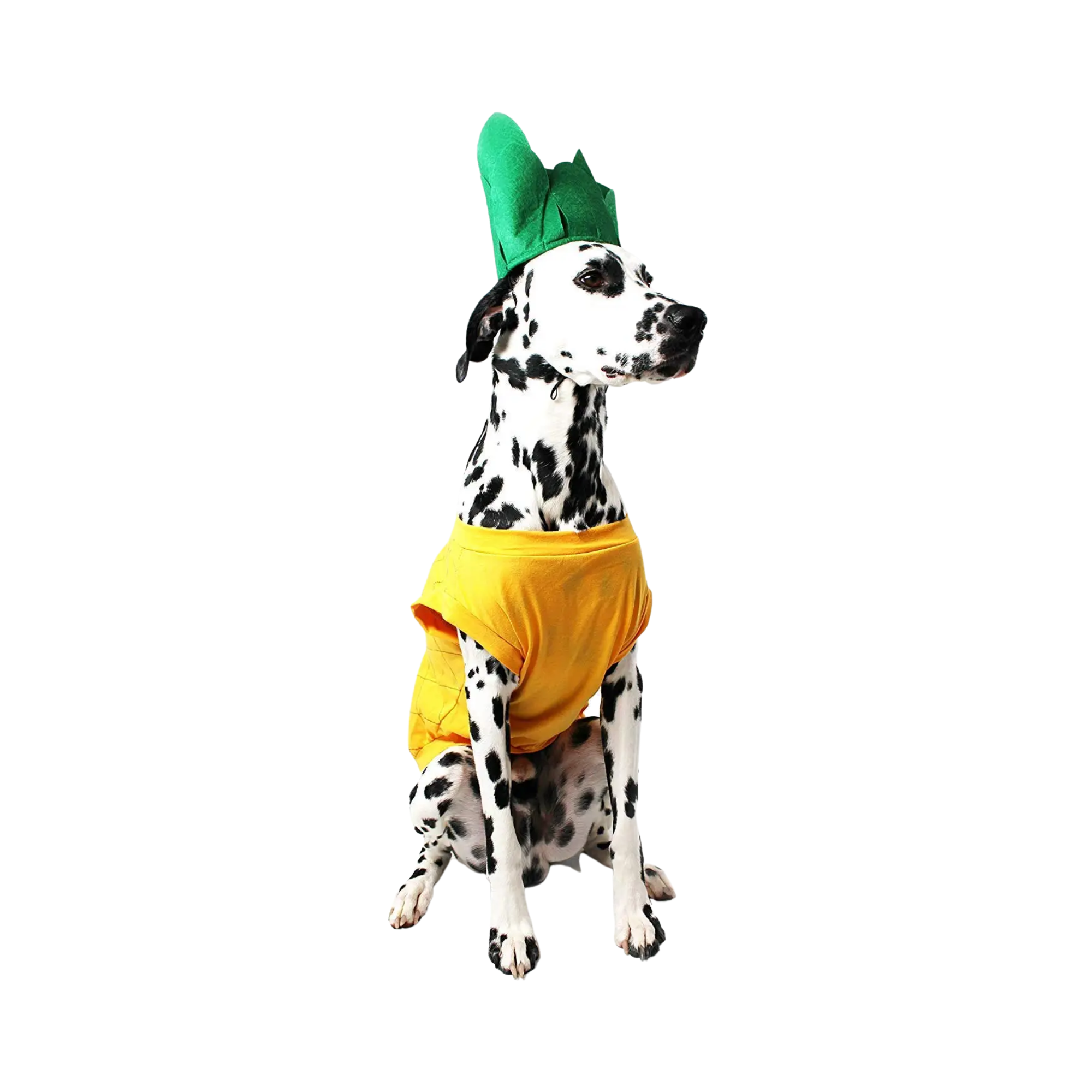 Midlee Designs - Wholesale Pet Costume - Dog - Midlee Pineapple Dog Costume5