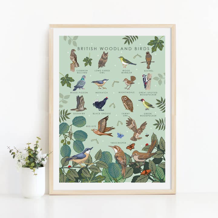 Angie Spurgeon Illustration and Design - Wholesale Art Print - British Woodland Birds Wall Art Print A4 Unframed1