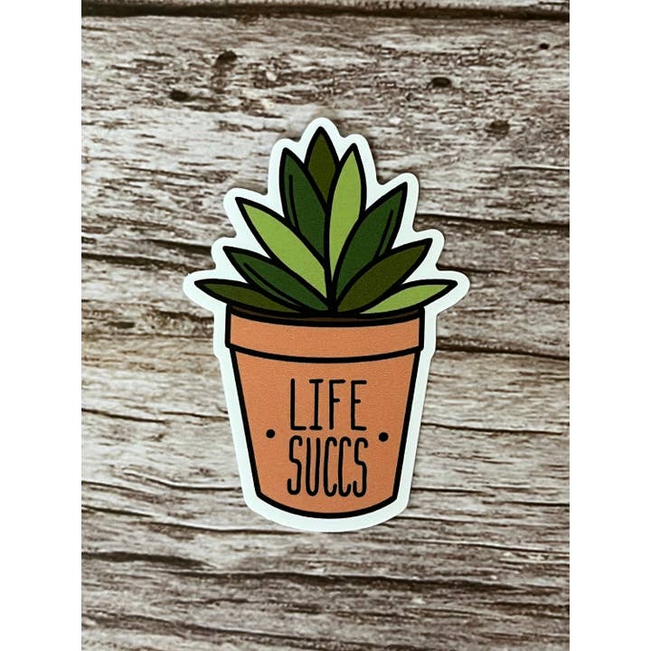 Life Succs for wholesale by Willows ‘n’ Wildflowers