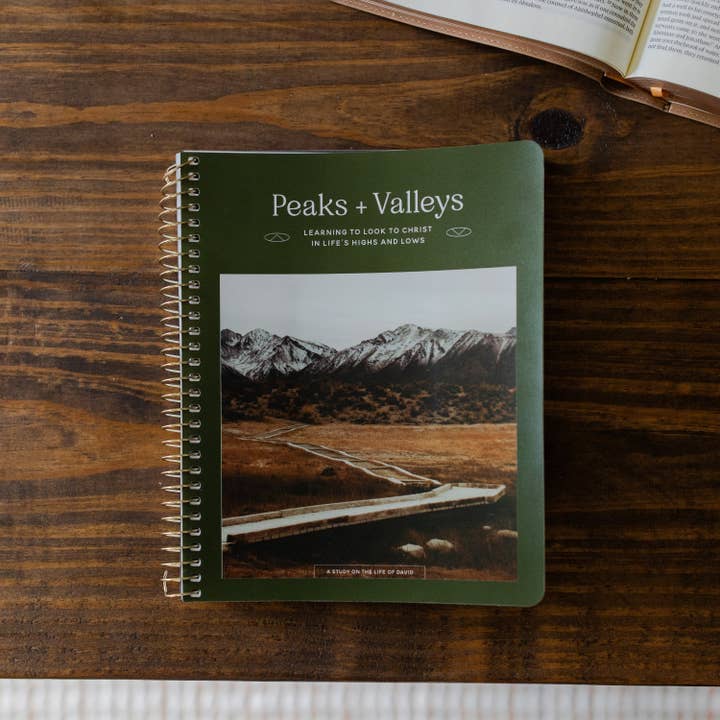 Peaks and Valleys: Learning to Look to Christ in Life's Highs and Lows | A Study on the Life of David - Men for wholesale by The Daily Grace Co