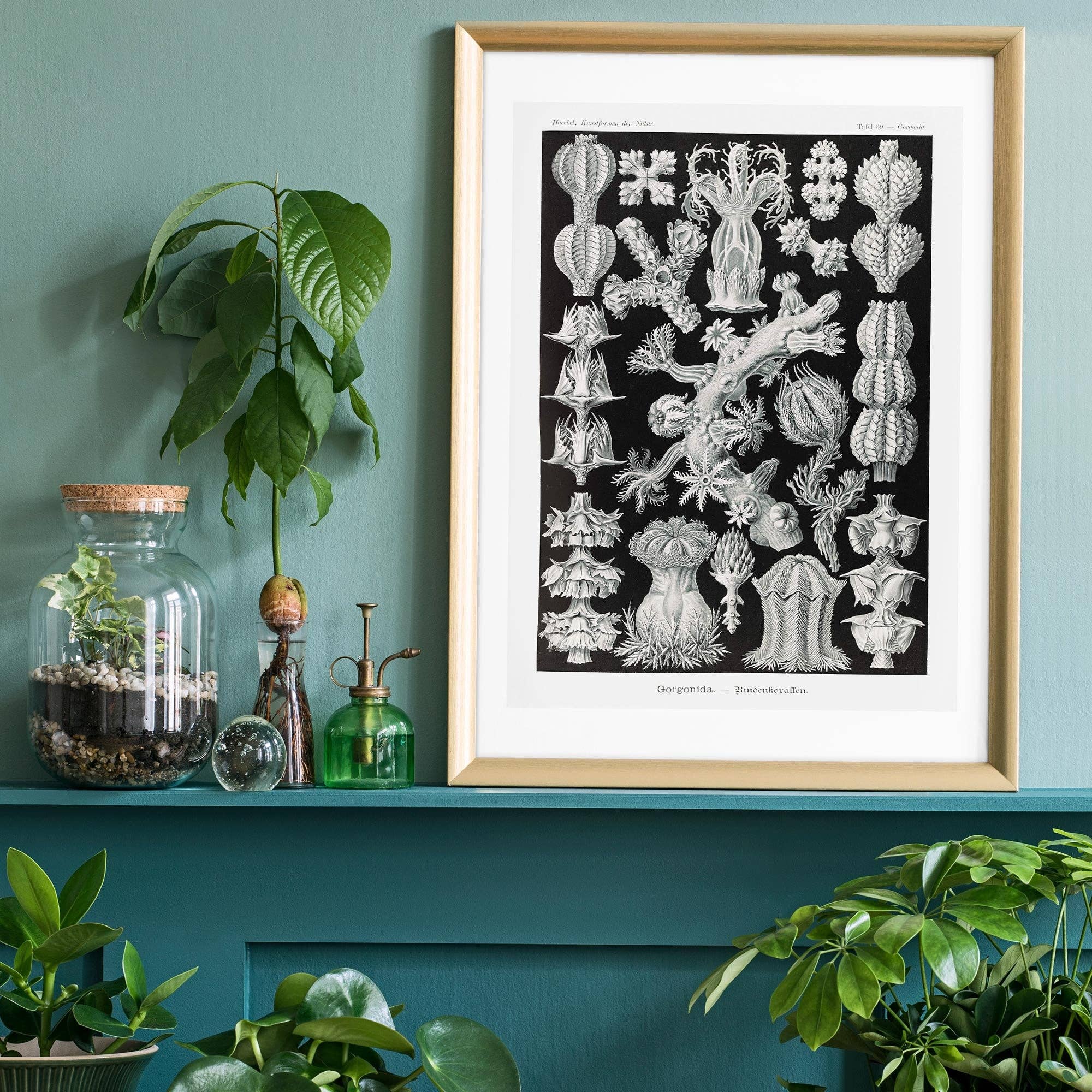 Ink & Drop – Großhandel Kunstdruck – Korallen Schwarz-Weiß-Antik-Print2