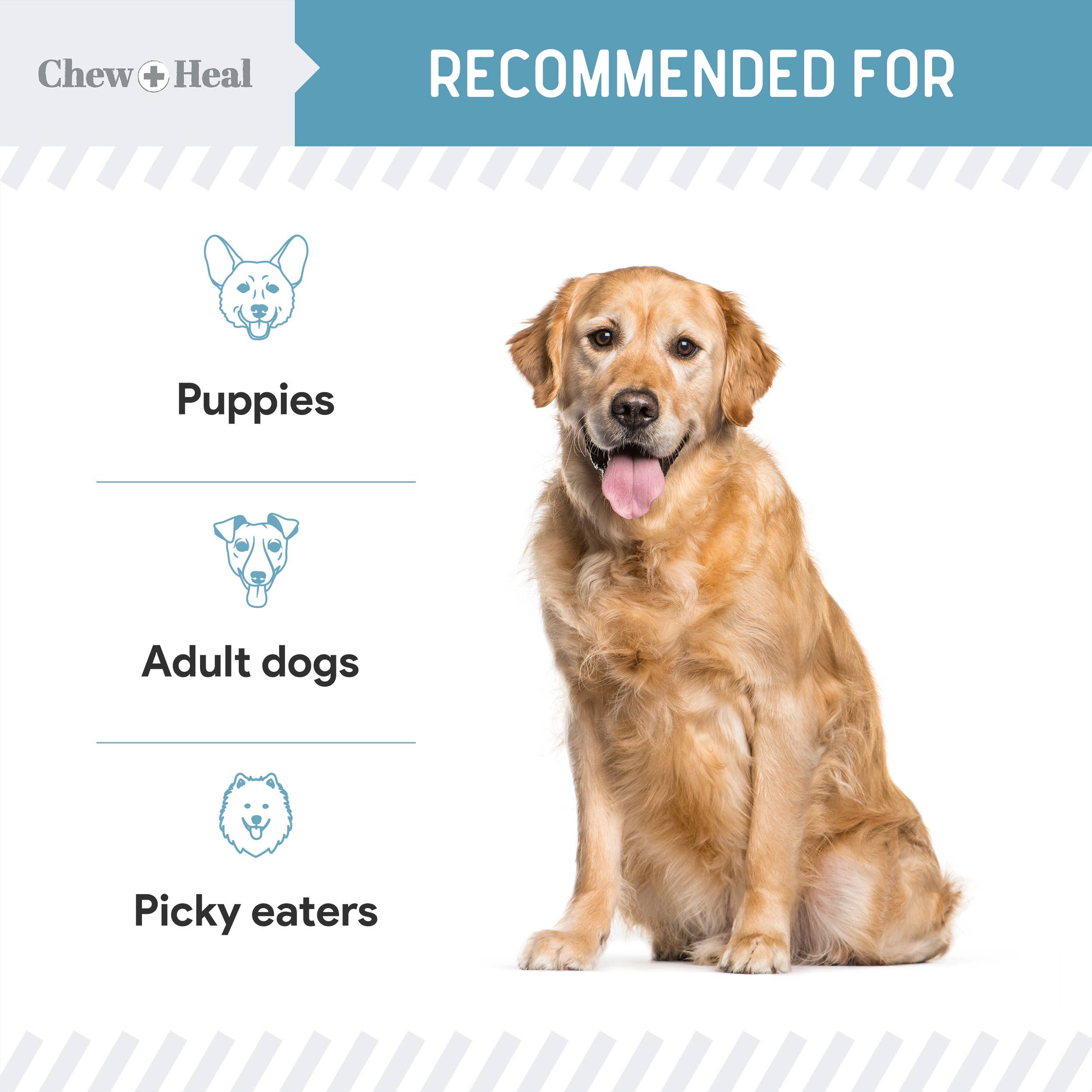 Chew + Heal - Wholesale Pet Supplement - Dog - Daily 12-In-1 Multivitamin Powder for Dogs 7