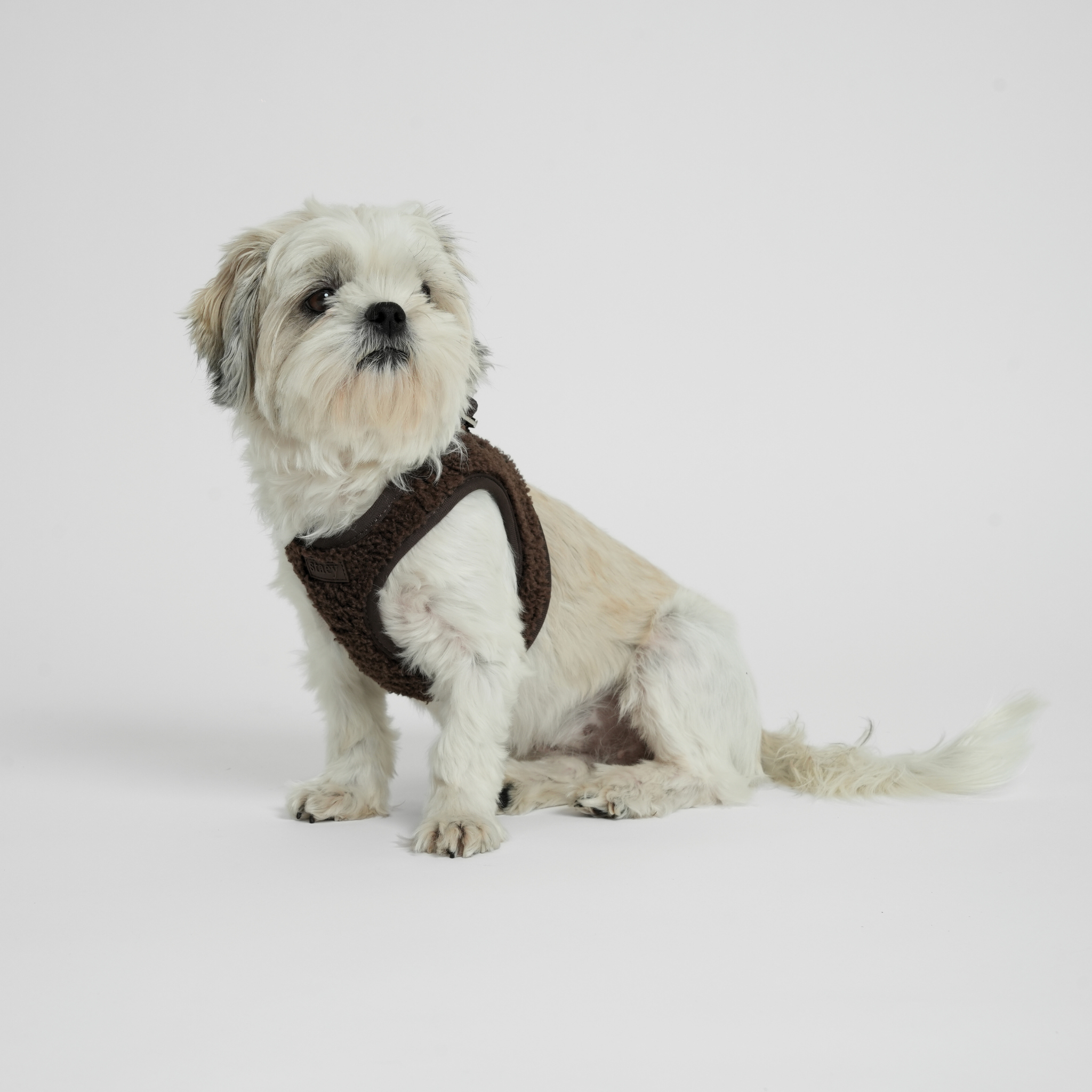 Staey - Wholesale Pet Harness - Dog - Step-In Dog Harness Teddy | Espresso1