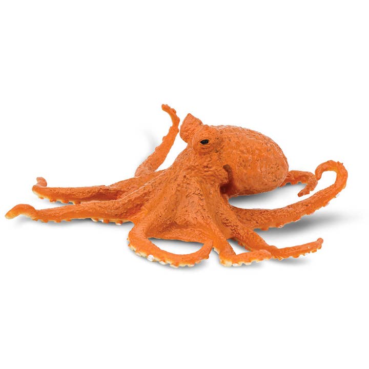 Octopus - 274429 for wholesale by Safari Ltd.