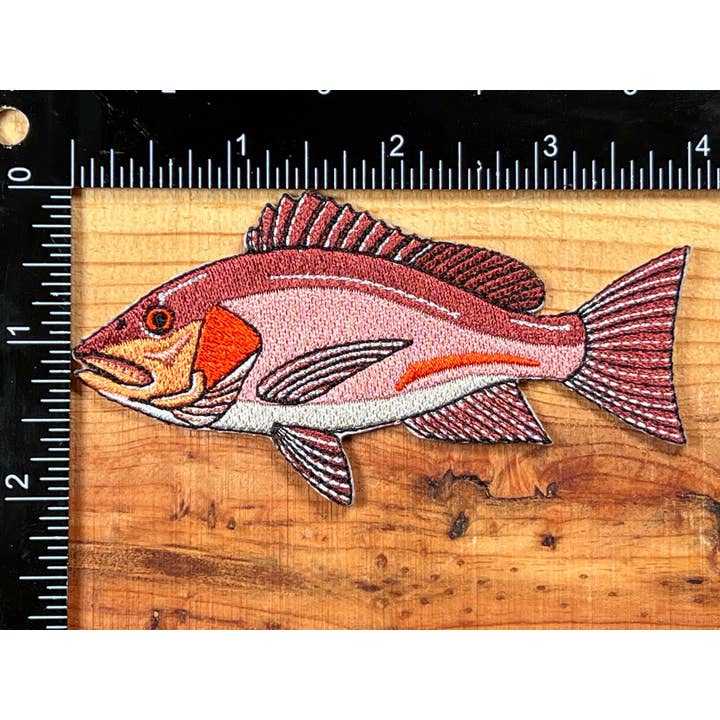 Antler & Fin - Vendita all'ingrosso Toppe - Toppa termoadesiva Red Snapper | Toppe per pesci di qualità2