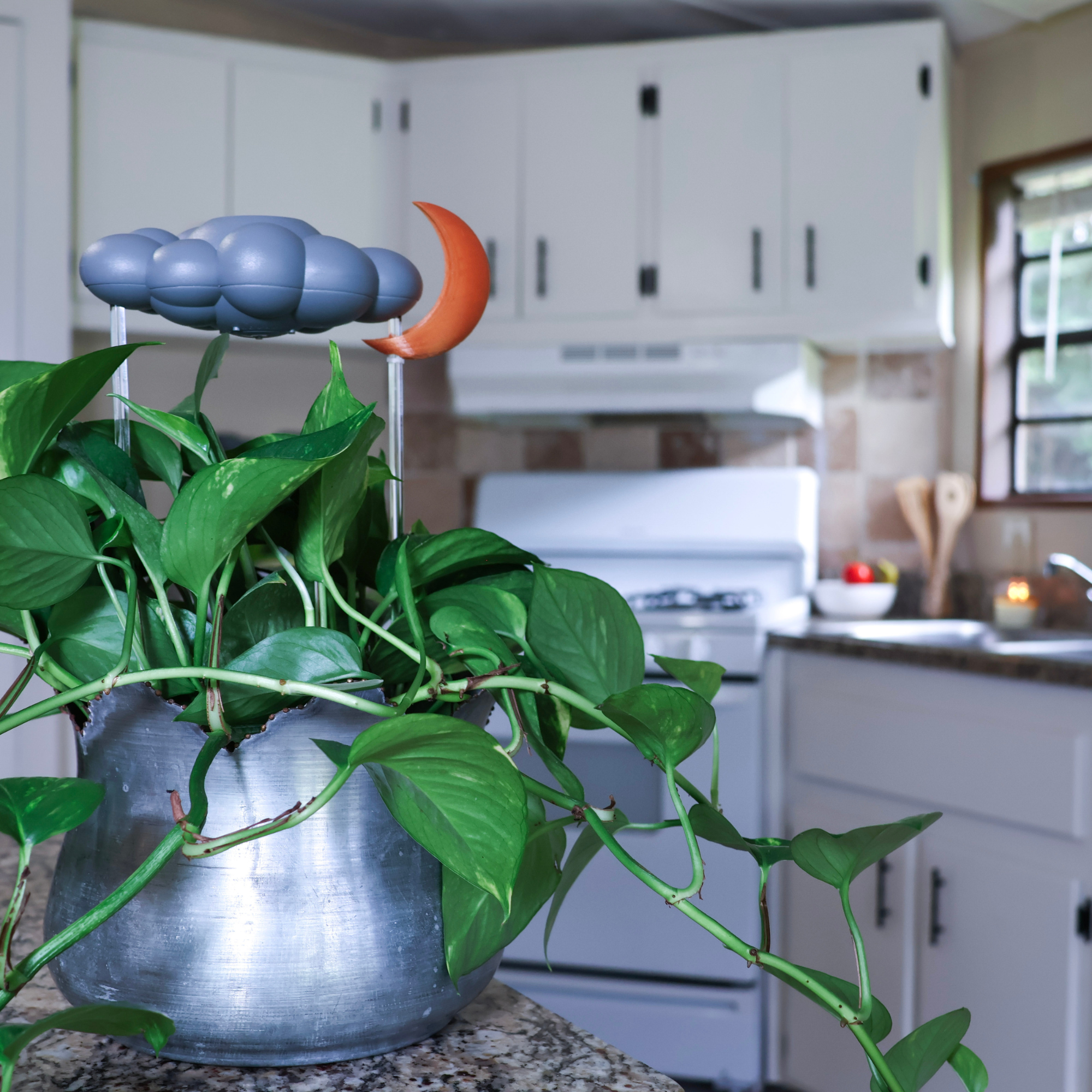 The Cloud Makers - Wholesale Watering Can - Stormy Cloud Boutique Pack with Charm Bundle11