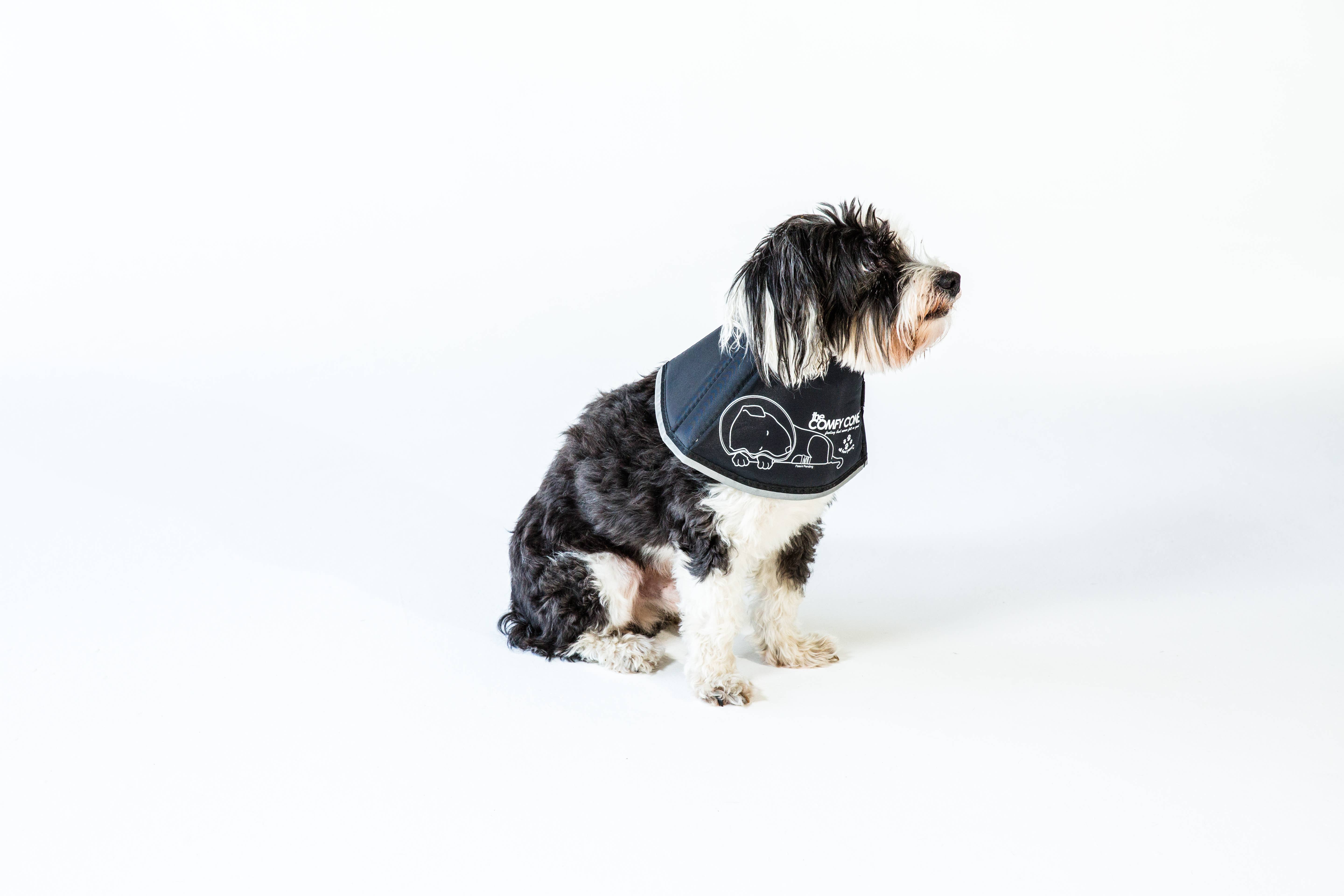 All Four Paws - Wholesale Halsband - Hond - M-The Original Comfy Cone - Comfortabele zachte kraag voor huisdieren1