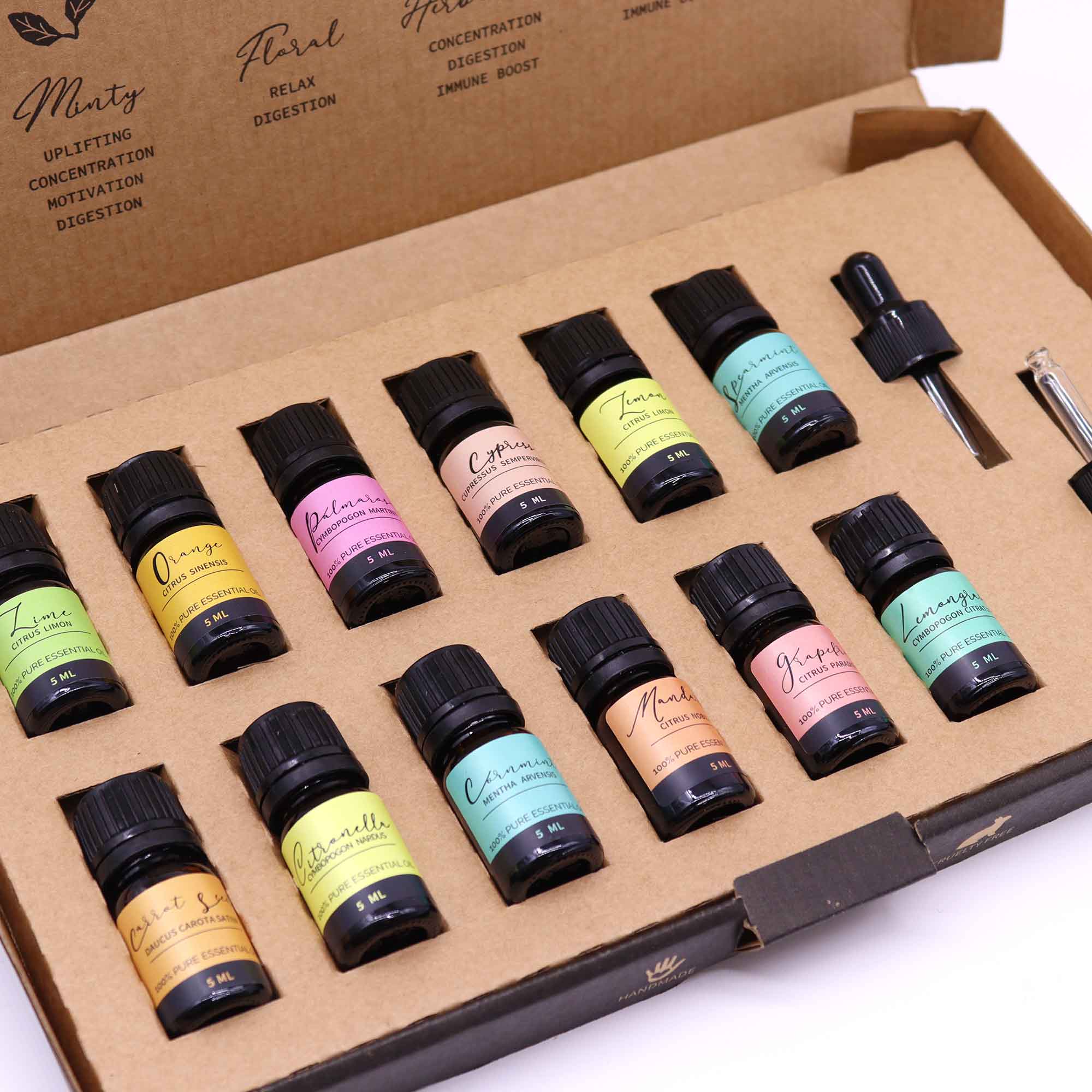 AWGifts Europe - Wholesale Essential Oil - Aromatherapy Essential Oils Starter Set6