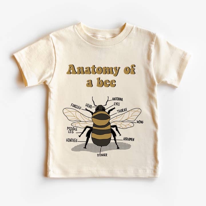Anatomy of a Bee for wholesale by Urban Pines
