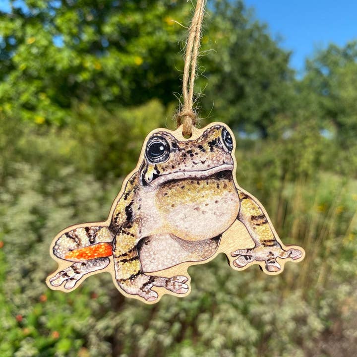 Allison Stoiser Art – Engroshandel Pynt – Cope's Grey Treefrog Julepynt med Trætryk