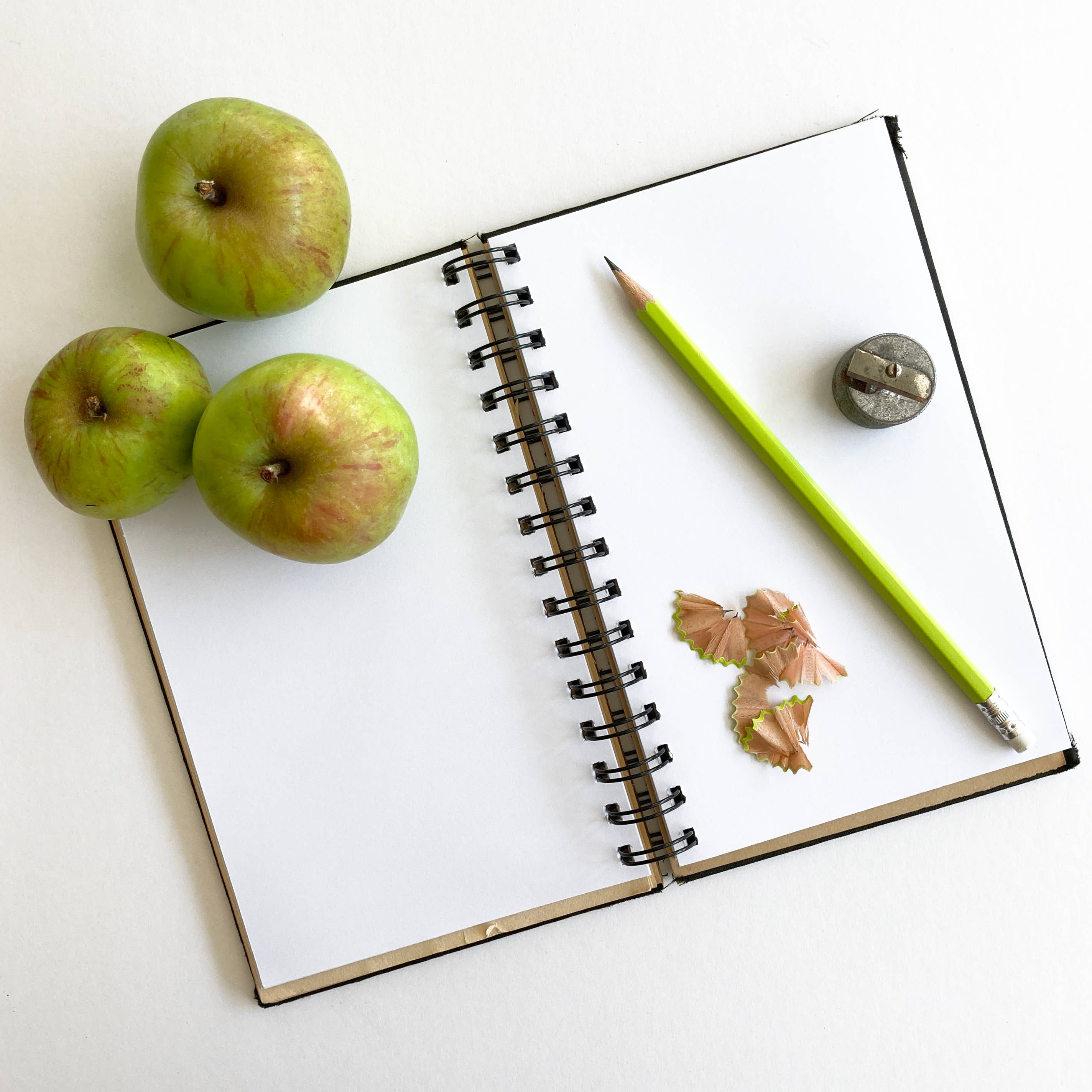 Attic Journals - Wholesale Journal/Diary - Attic Journals -- Opening Order4