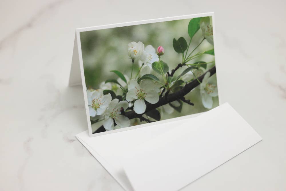 New England Prints - Wholesale Stationery/Notecard Set - Box of 5 All Occasion Spring Blossom Blank Note Cards2