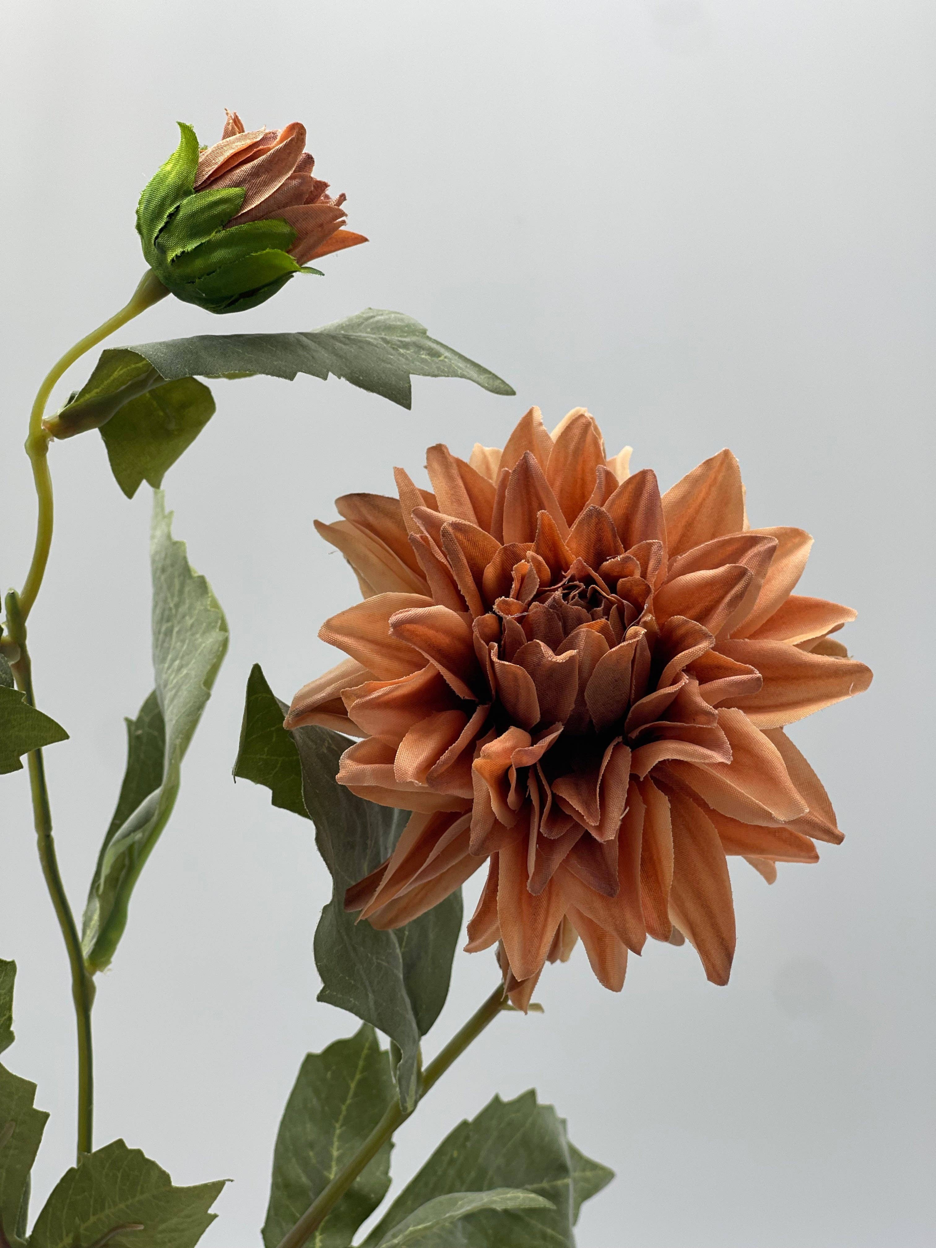 JKF & Co Pty Ltd – wholesale Artificial flowers – Dahlia 2 Head Spray Terracotta0