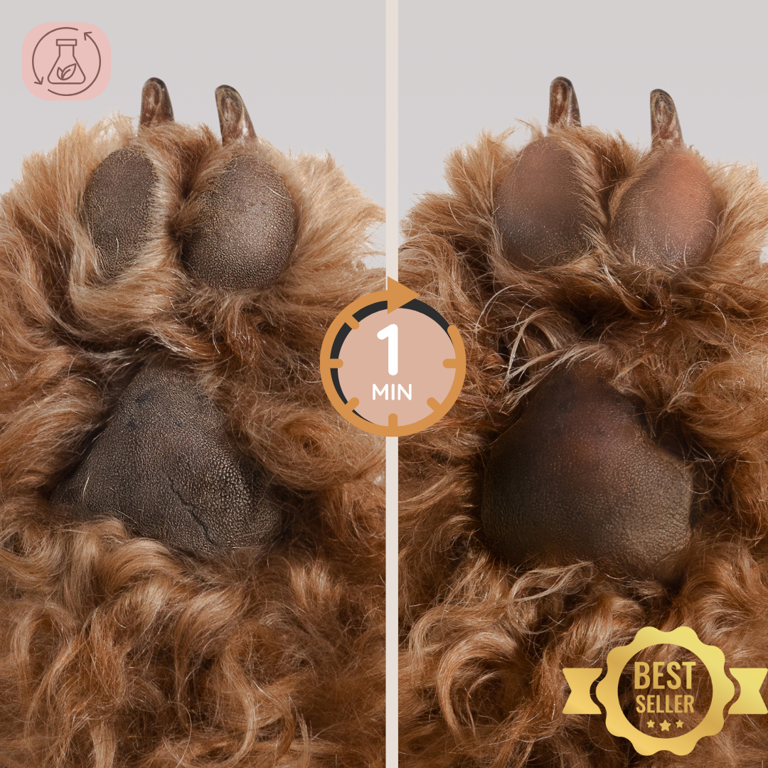 Masco Beauty – wholesale Tasskydd – Balsammousse för hundtassar8