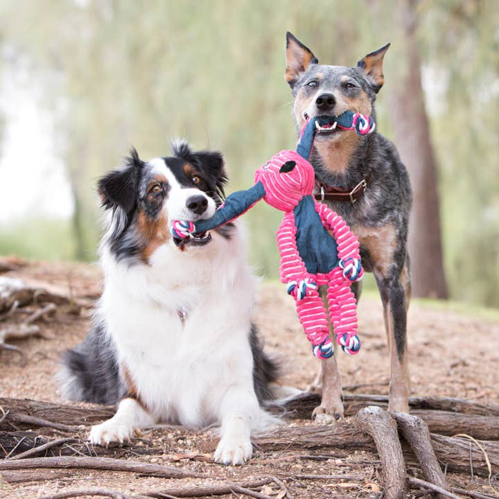 Pet Palette Distribution - Wholesale Pet Rope Toy - Dog - KONG® Floppy Knots Bunny Dog Rope Toy Medium/Large