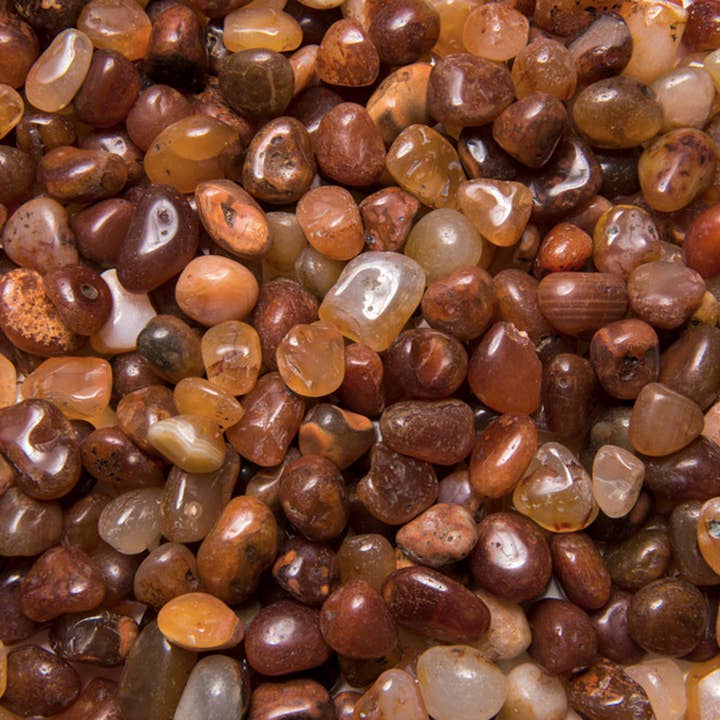 Tumbled Carnelian - XS - B Grade - Brazil (1 lb) for wholesale by Fantasia Mining