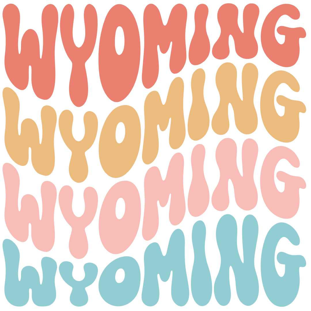 Daisy Mae Designs - Vente Aimants - Tous les 50 États Aimant Fort Acrylique Police Rétro – 2"x2"48