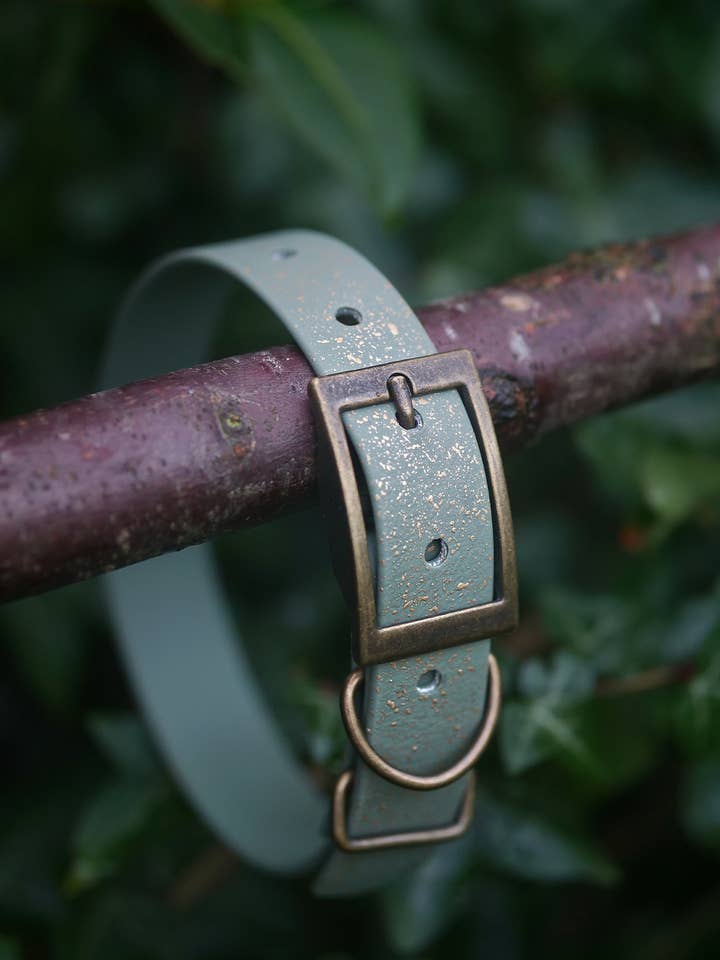 Bracken - SS Explorer Kragen für den Großhandel von Woof and Snout