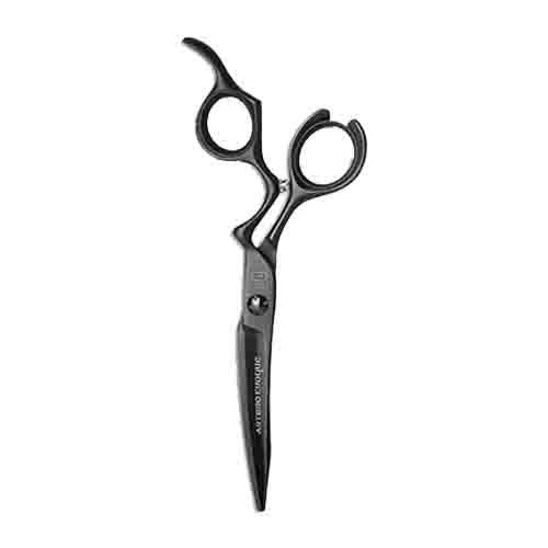 ARTERO Inspiring Style - Vendita all'ingrosso Forbici per capelli - Forbici Artero Evoque Titanium 6