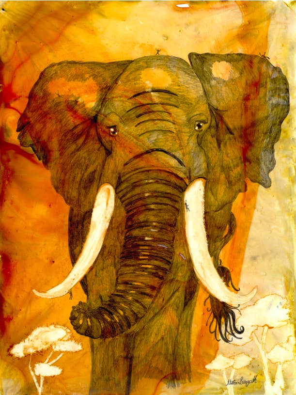 Prachtig Beest (Afrikaanse Olifant) voor wholesale door Freckled Illustrations