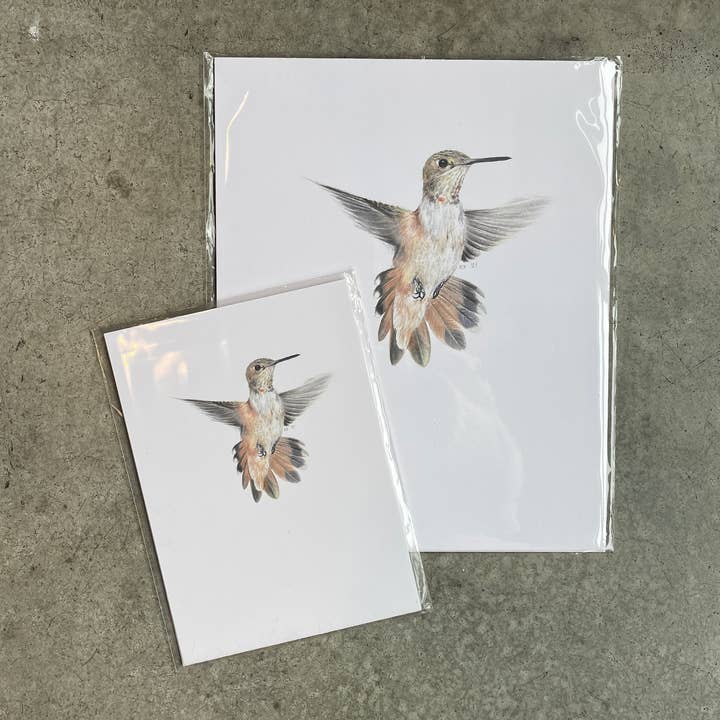 stück in the studio - Wholesale Art Print - hummingbird - print0