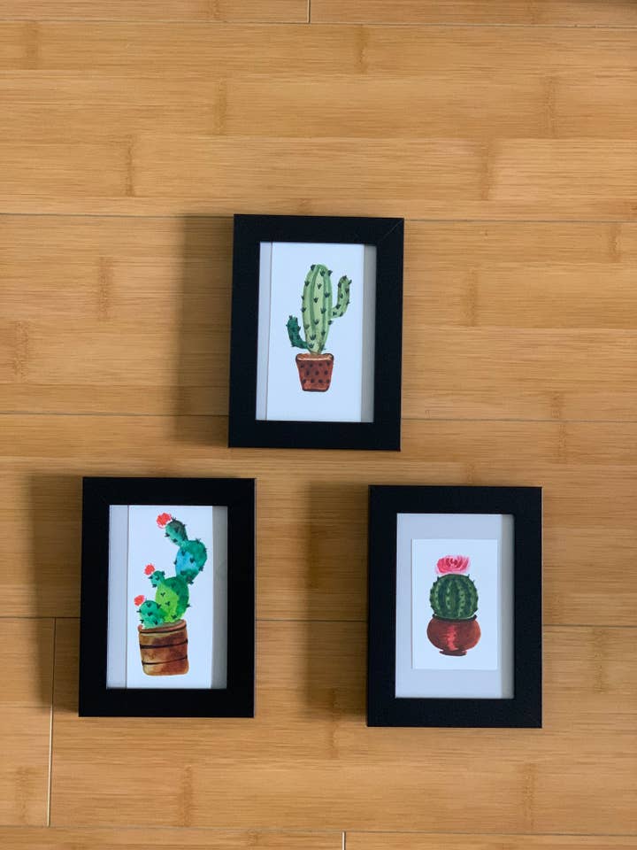 Cacti set for wholesale by Melita & Co