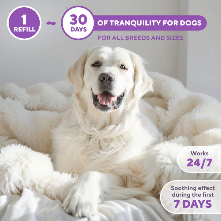 Beloved Pets - Wholesale Pet Spray - Dog - Relaxivet Dog Calming Pheromone Diffuser Refill 2 Pack