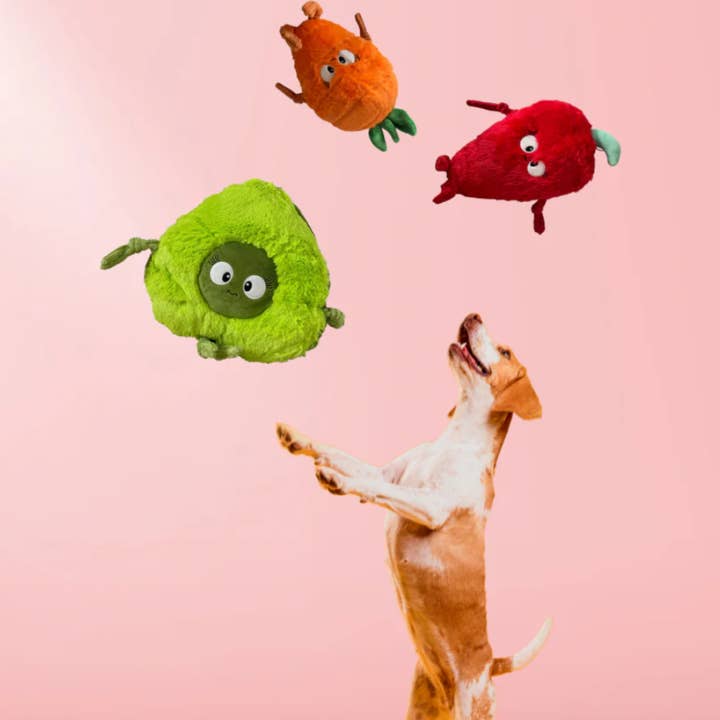 Pals For Paws - Wholesale Pet plush toy – Dog - Chilli Durable Plush Dog Toy - 100% Recyled Material
4